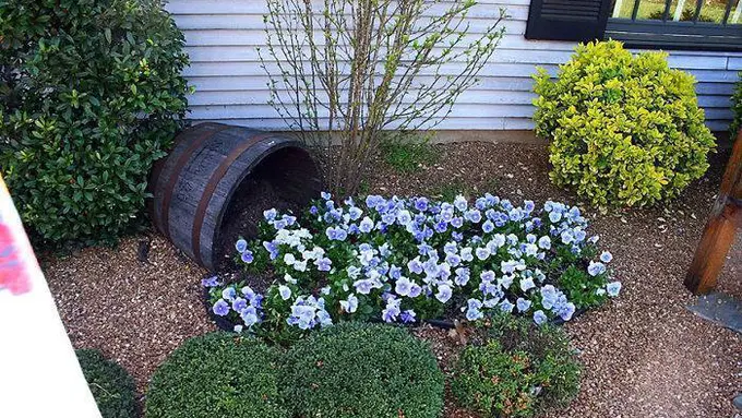 Indahnya Rangkaian Bunga Ini Mampu Bikin Hatimu Berbunga-Bunga