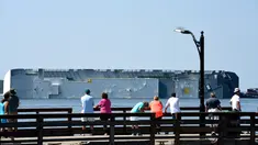 Warga melihat kapal kargo Golden Ray yang terbalik di lepas pantai negara bagian Georgia, Amerika Serikat, Minggu (8/9/2019). Kapal kargo Korea Selatan yang mengangkut 4.000 mobil itu terbalik saat menuju Timur Tengah. (Bobby Haven/The Brunswick News via AP)