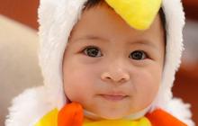 3 Foto Baby Lily Jalani Pemotretan Pakai Kostum Ayam, Diapit Kedua Kakak Ganteng Rafathar & Rayyanza