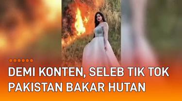 Aksi seorang seleb TikTok Pakistan bakar hutan demi konten, viral di media sosial