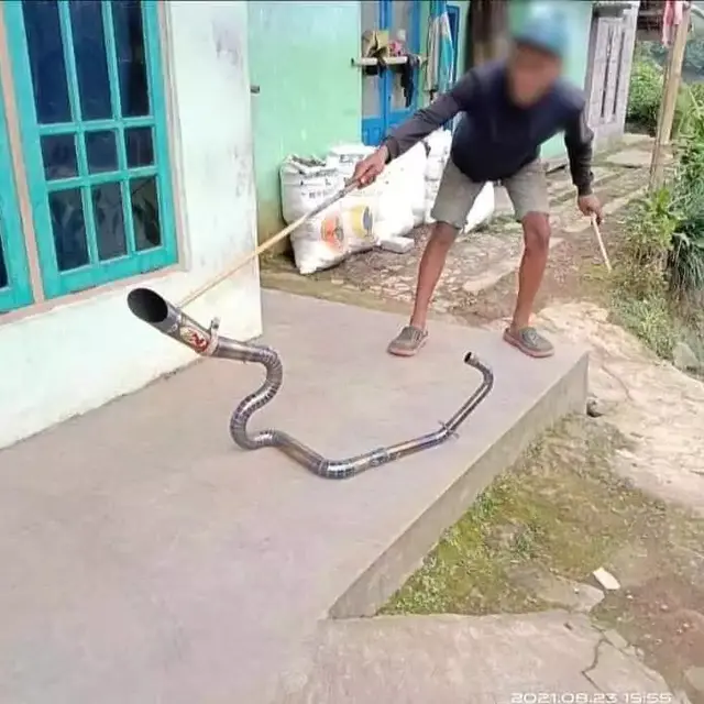 6 Potret Benda Mirip Ular Ini Kocak Tapi Bikin Kaget, Panik Jika Sungguhan