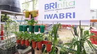 Warga Tuminting & BRI Ubah Lahan Timbunan Sampah Jadi Lahan Urban Farming 'BRInita'/Istimewa.