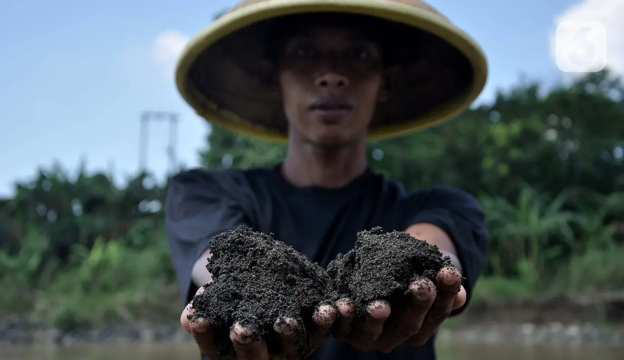 Seorang penambang memperlihatkan pasir yang ditambangnya di Sungai Klawing, Desa Toyarejo, Purbalingga, Jawa Tengah, Minggu (15/5/2022). Sehudin (62) salah satu penambang mengungkapkan para pekerja mampu menggali pasir dan memuat 10 hingga 50 truk dalam sehari. Tiap satu perahu mampu mengangkut 1 meter kubik dengan harga upah Rp110.000. (merdeka.com/Iqbal S Nugroho)