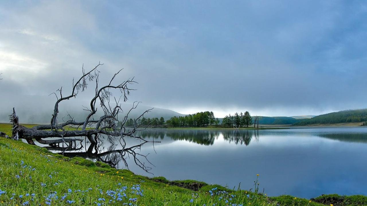 3. Telaga Dringo