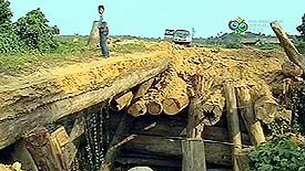 010605dJembatanJambi.jpg