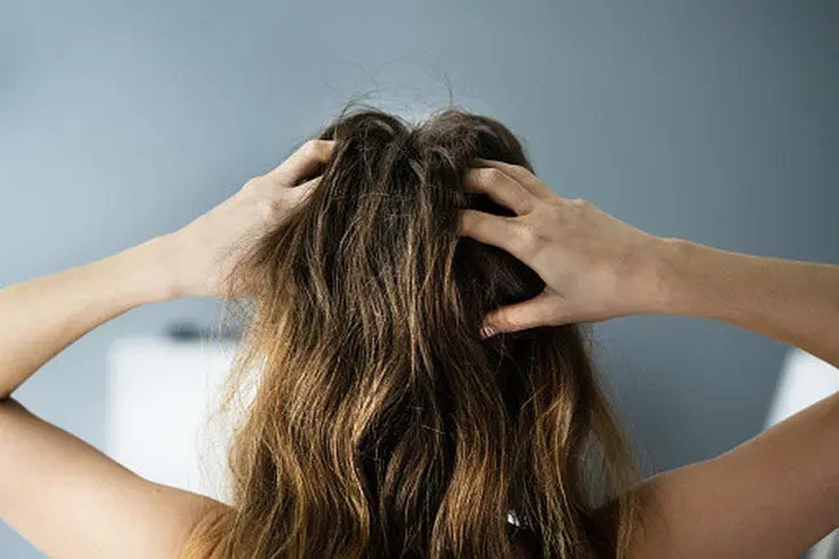 4 Manfaat Jahe untuk Rambut dan Cara Menggunakannya