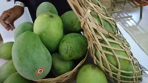 4 Jenis Mangga yang Lebih Enak Dimakan Saat Masih Muda, Cocok untuk Rujak dan Manisan