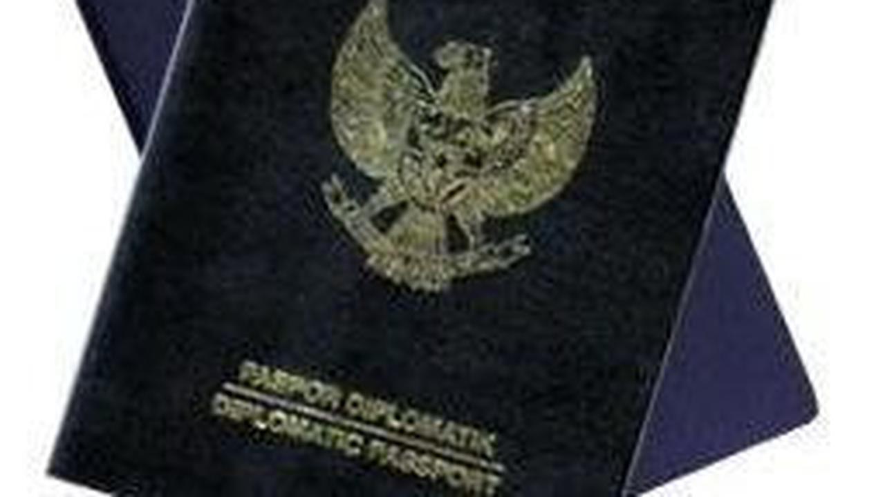 Setelah menjadi Duta Besar (Dubes) Indonesia untuk Belgia dan Luksemburg, karier Laili kian menanjak.<br>