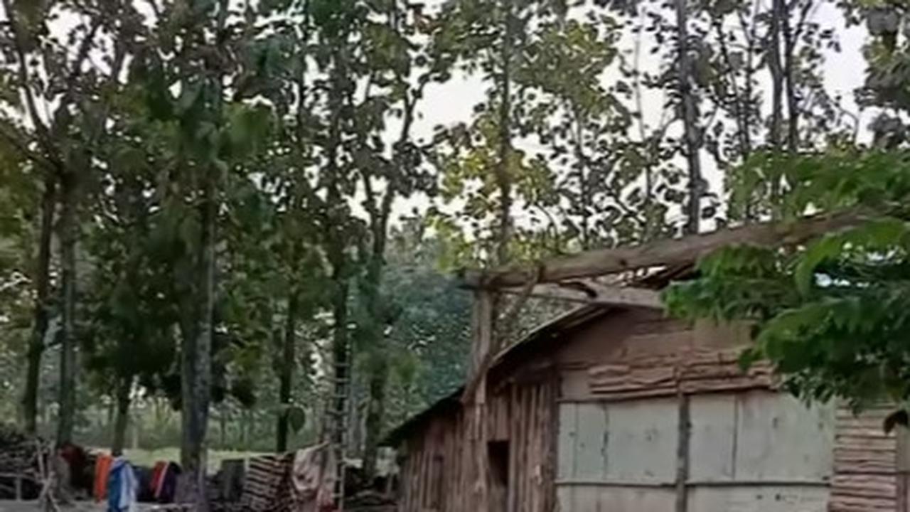 Sosok Wanita Paruh Baya Punya Suami Dua Tinggal Satu Atap, Begini Kehidupannya