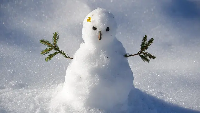 Snowman