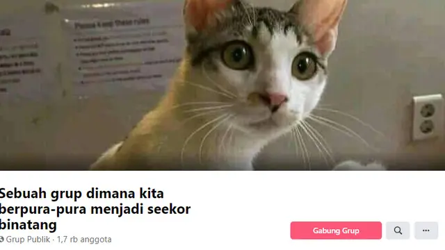 6 Nama Grup 'Berpura-Pura' di Facebook Ini Bikin Ketawa Geli