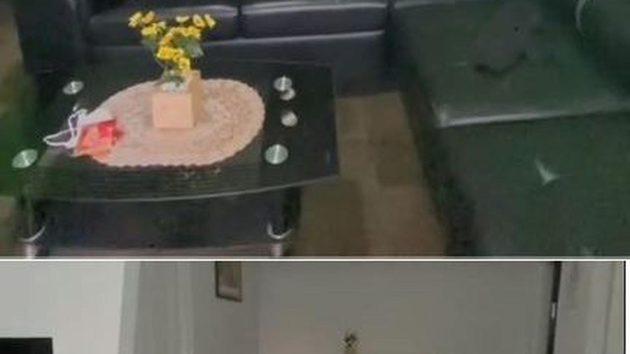 Viral Potret Rumah yang Dicat Ulang dari Hijau Jadi Putih, Perubahannya Bikin Takjub Warganet