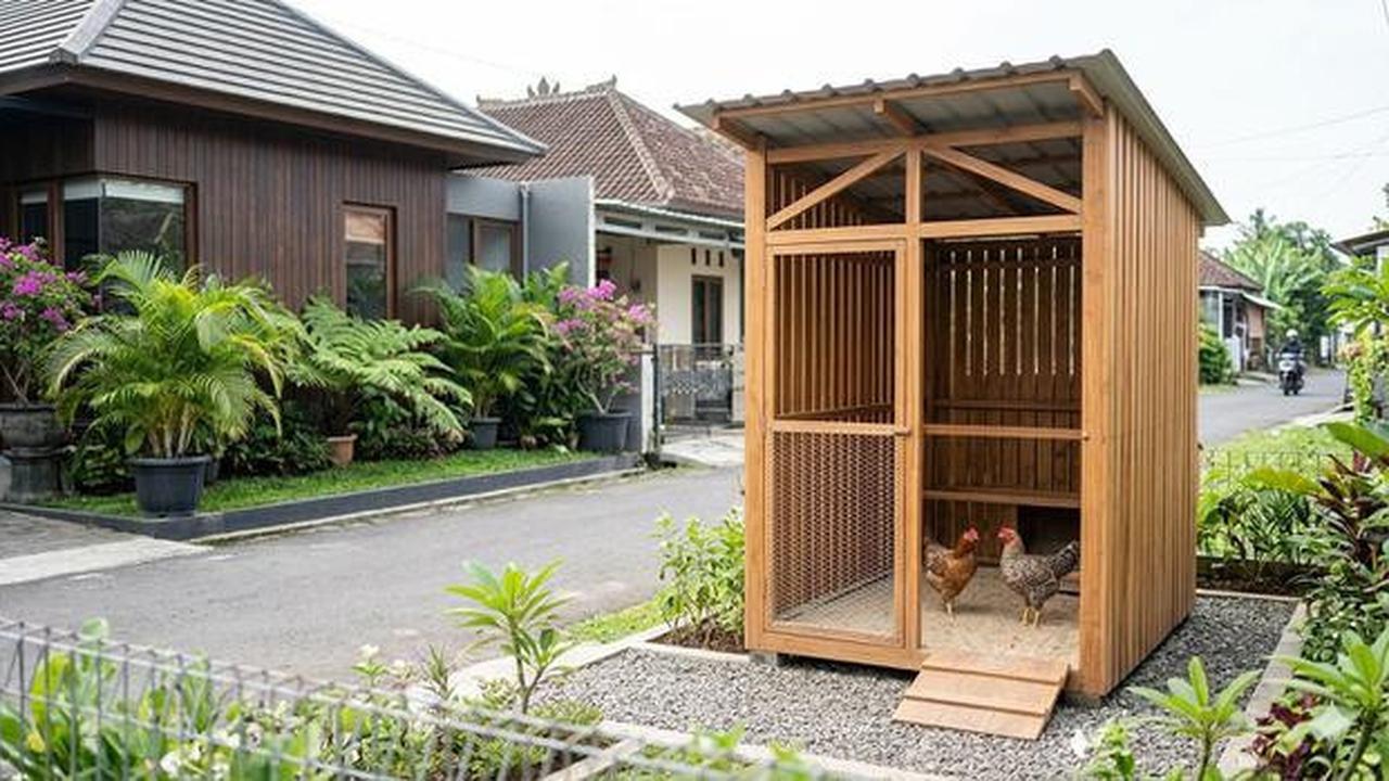 8 Desain Kandang Ayam Sistem Ventilasi Silang Biar Tidak Pengap dan Bau