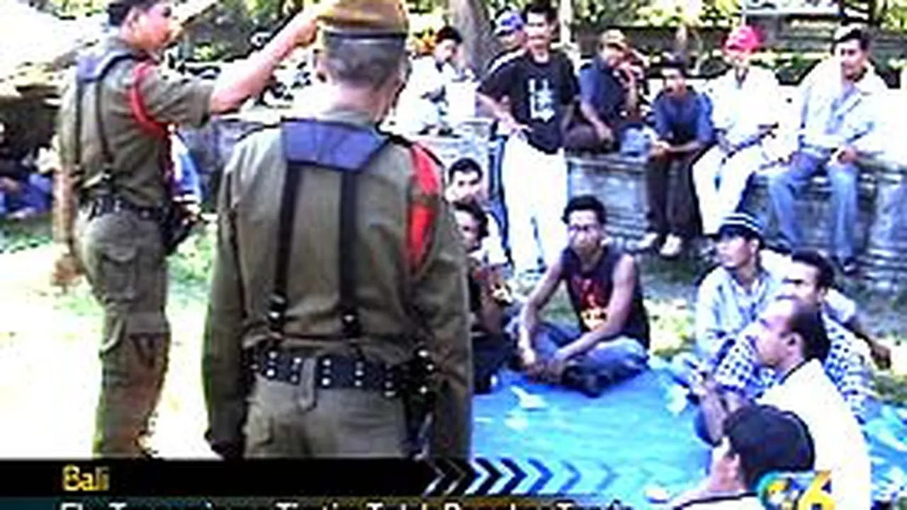 260504aTransmigran.jpg
