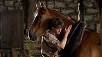 8 Sad Animal Movies That Will Make You Want to Hug Your Pet