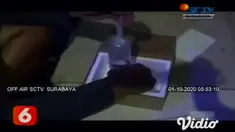 Bisnis ternak ikan cupang semakin meningkat semasa pandemi Covid-19, warga Surabaya ini memanfaatkan untuk menjadikan ternak ikan cupang sebagai mata pencaharian, bahkan tembus pasar luar negeri.