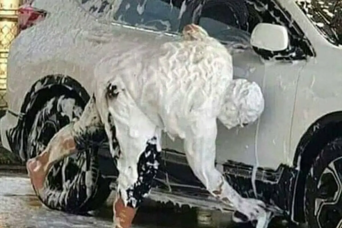 6 Kelakuan Nyeleneh saat Cuci Mobil Ini Bikin Geleng Kepala