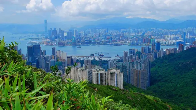 Keluarga di Hong Kong Bertukar Rumah untuk Liburan Musim Panas