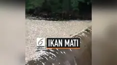 Jumlah ikan yang mati mengambang di sebuah waduk di Oklahoma, AS, terus bertambah. Hingga kini ikan mati mencapai ribuan. Namun, belum diketahui penyebab kematian ikan-ikan tersebut.