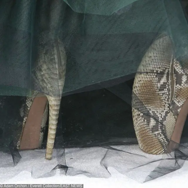 sepatu nyeleneh