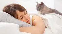 Ilustrasi tidur bersama kucing/Shutterstock
