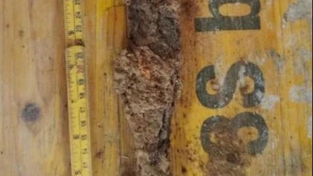 Sedang Renovasi Rumah, Pasangan di Norwegia Temukan Kuburan dan Pedang Bangsa Viking