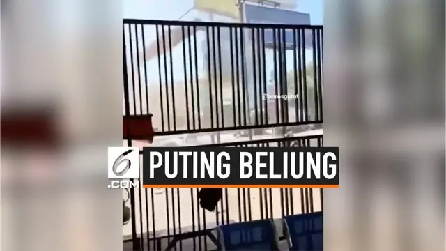 Terjadi angin puting beliung, Senin (5/8/2019) di Garut, Jawa Barat. Kejadian ini terekam kamera ponsel warga.