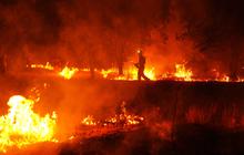 Spanyol Percepat Upaya Padamkan Kebakaran Hutan