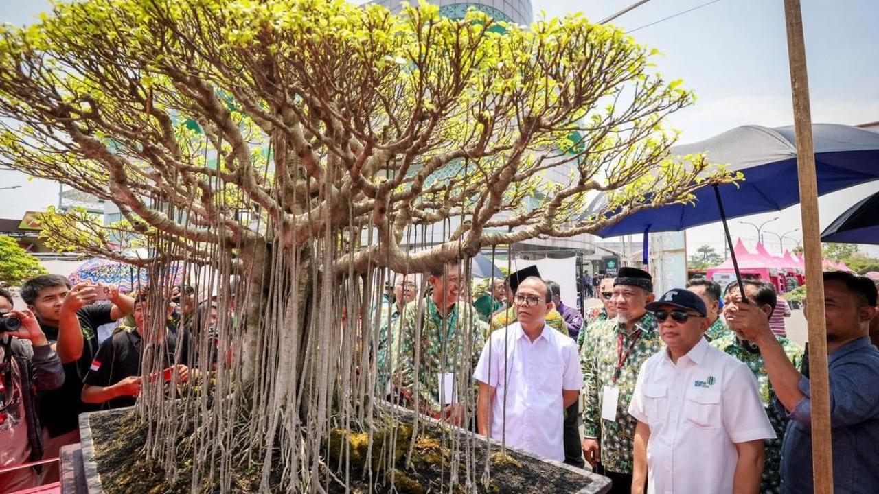 Menurutnya, banyak negara melihat ekonomi kreatif sebagai alternatif dari ekonomi konvensional seperti industri keuangan dan lainnya.
