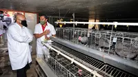 Menteri Koperasi dan UKM Teten Masduki usai meresmikan UKM Rumah Produksi Ayam Kampung Olahan  dengan merek NatChick  di Bogor, Selasa (1/9/2020).
