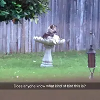 Hati-hati nanti kerutan di jidatmu jadi permanen.