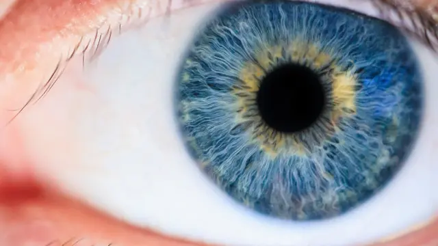 Eyes