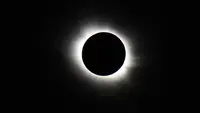 Gerhana Matahari Cincin Menyapa Bumi 17 Februari 2026, Apa Bedanya dengan Gerhana Matahari Total?