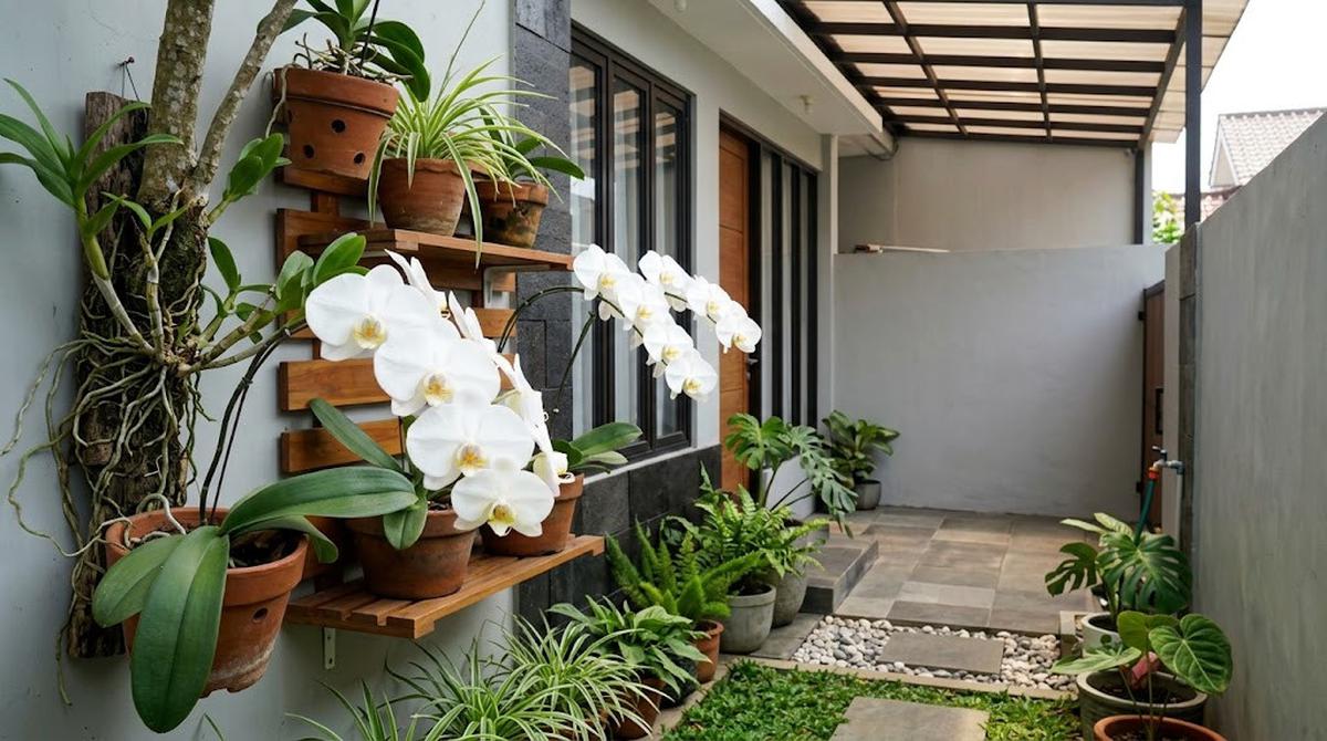 13 Tanaman Bunga Putih yang Cocok untuk Taman Minimalis, Hadirkan Kesan Asri
