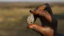 Anak laki-laki memegang apa yang dia yakini sebagai berlian setelah penemuan batu tak dikenal di desa KwaHlathi, luar Ladysmith, Afrika Selatan (15/6/2021). Lebih dari 1.000 orang berbondong-bondong mendatangi tanah luas di Desa KwaHlathi untuk mencari batu yang diyakini berlian. (AFP/Phill Magakoe)