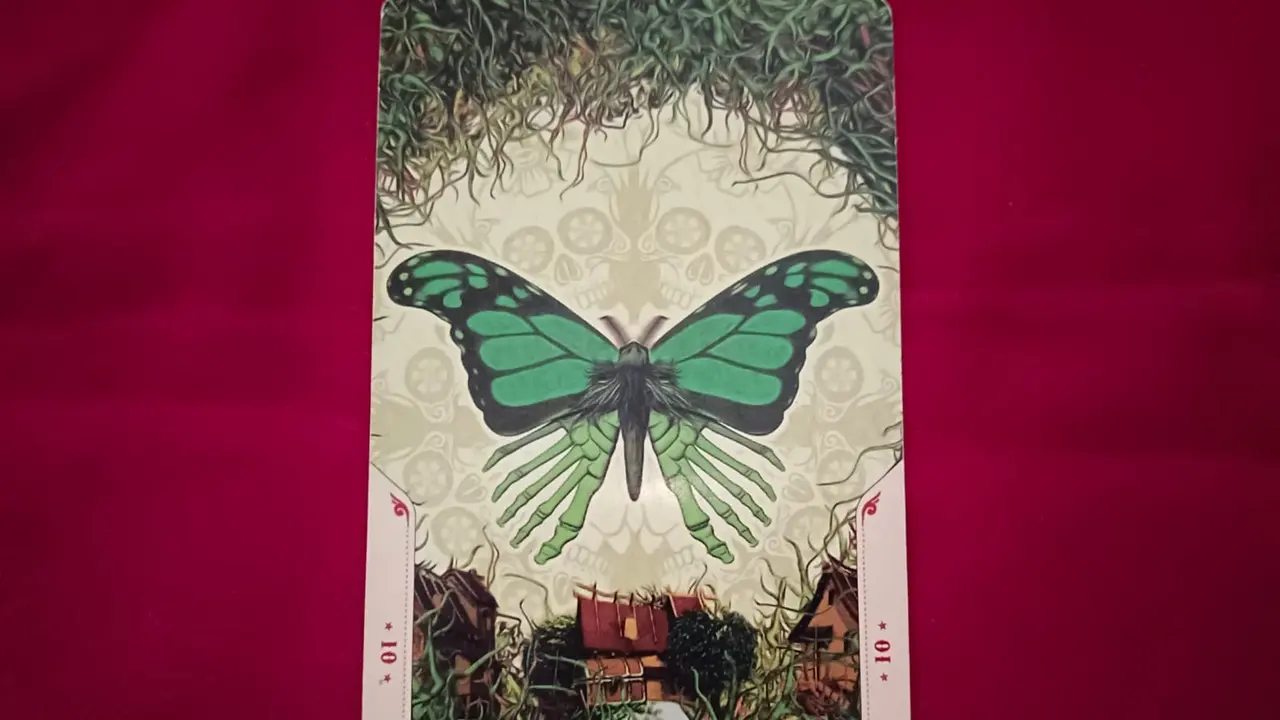 Tarot