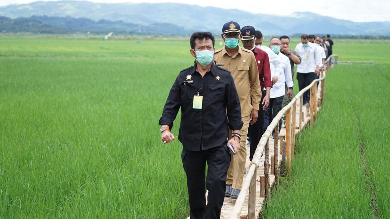 Penyaluran Pupuk Subsidi di Tegal Ombo Lamtim Berlangsung Lancar