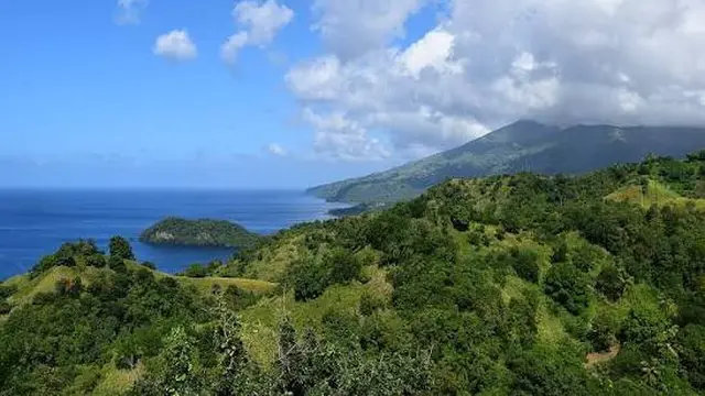 Mengenal Saint Vincent dan Grenadines, Negara Pemilik Kode +1-784
