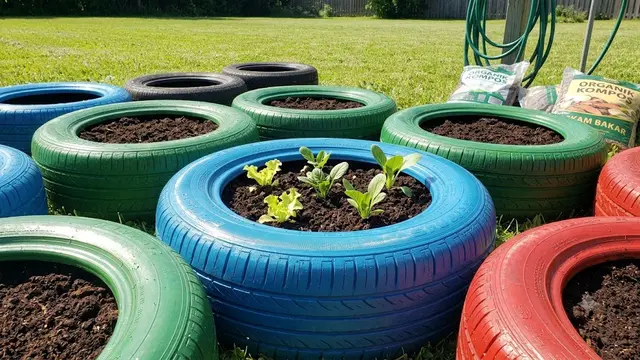 Cara Membuat Kebun Organik dari Ban Mobil Bekas