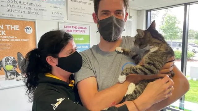 Kucing Hilang 10 Tahun