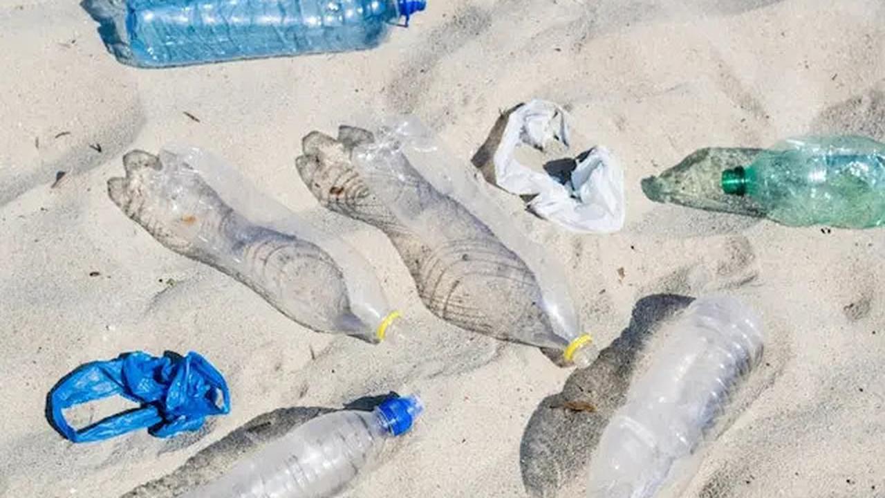 Jenis Makanan yang Tercemar Mikroplastik dan Bahaya untuk Dikonsumsi