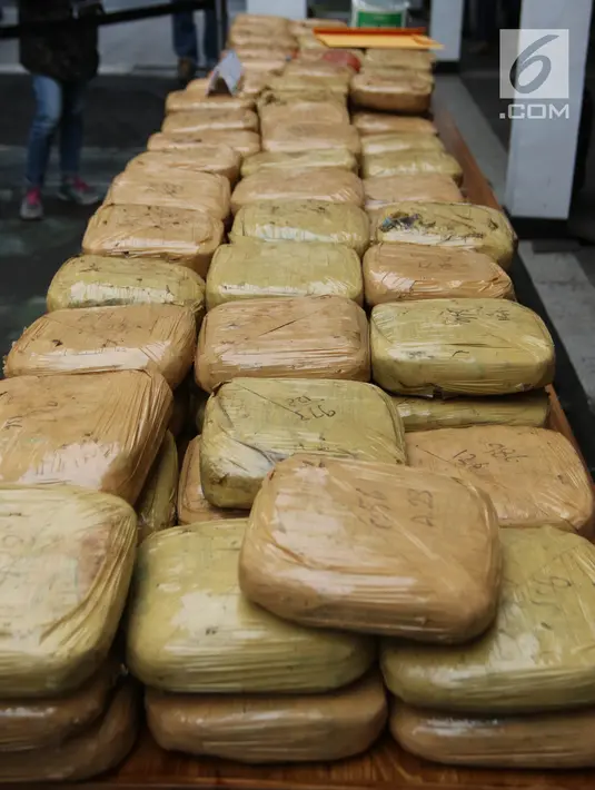 Barang bukti ganja diperlihatkan saat rilis di Polda Metro Jaya, Jakarta, Selasa (24/4). Narkotika jenis ganja dibawa dari Aceh ke Jakarta disimpan di dalam bak truk yang sudah dimodifikasi. (Liputan6.com/Arya Manggala)