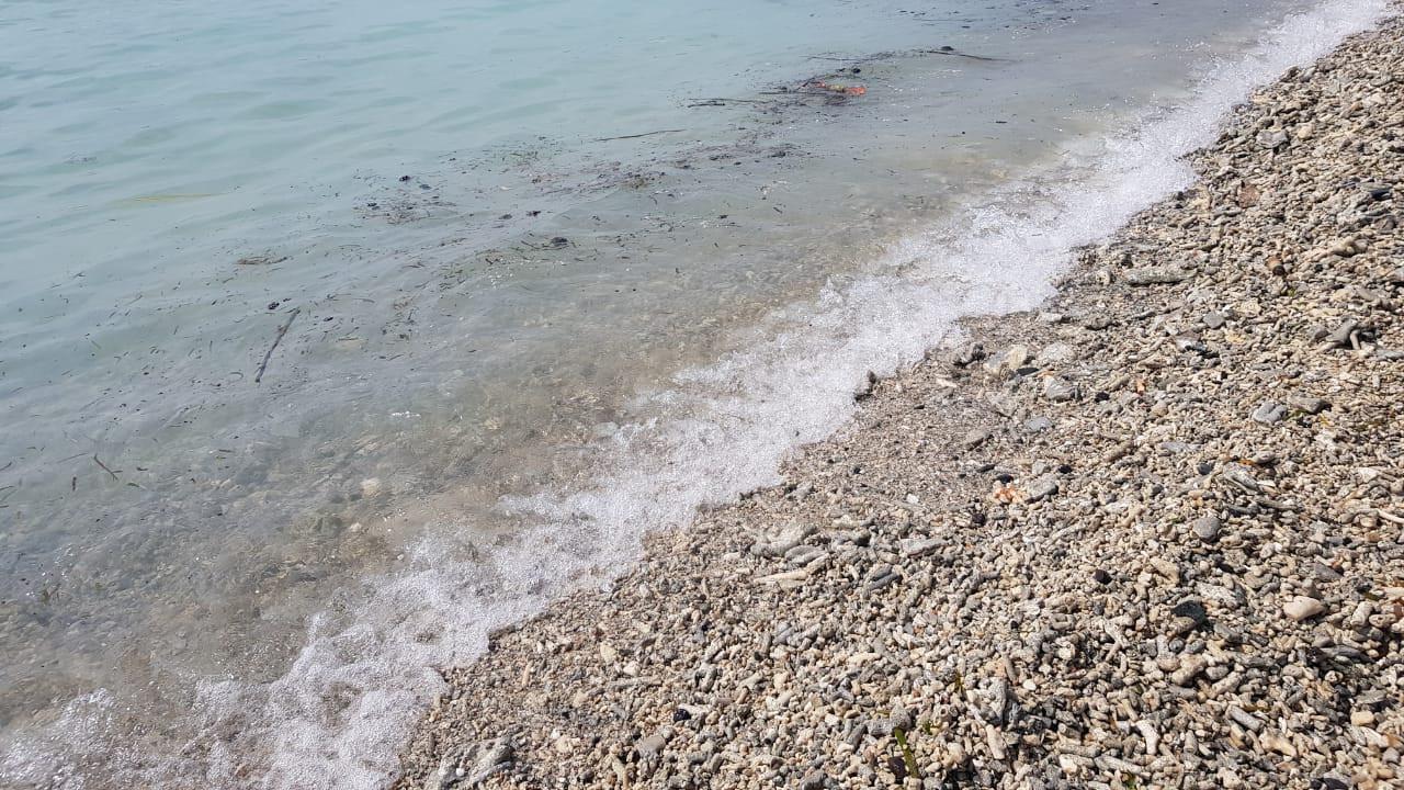 Tumpahan minyak yang menggenang di pantai