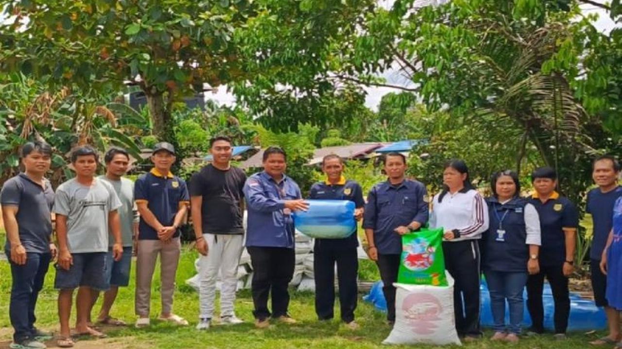 Penyaluran Bantuan Benih Ikan Gumas: 12.400 Ekor Patin Disalurkan untuk Tingkatkan Produksi