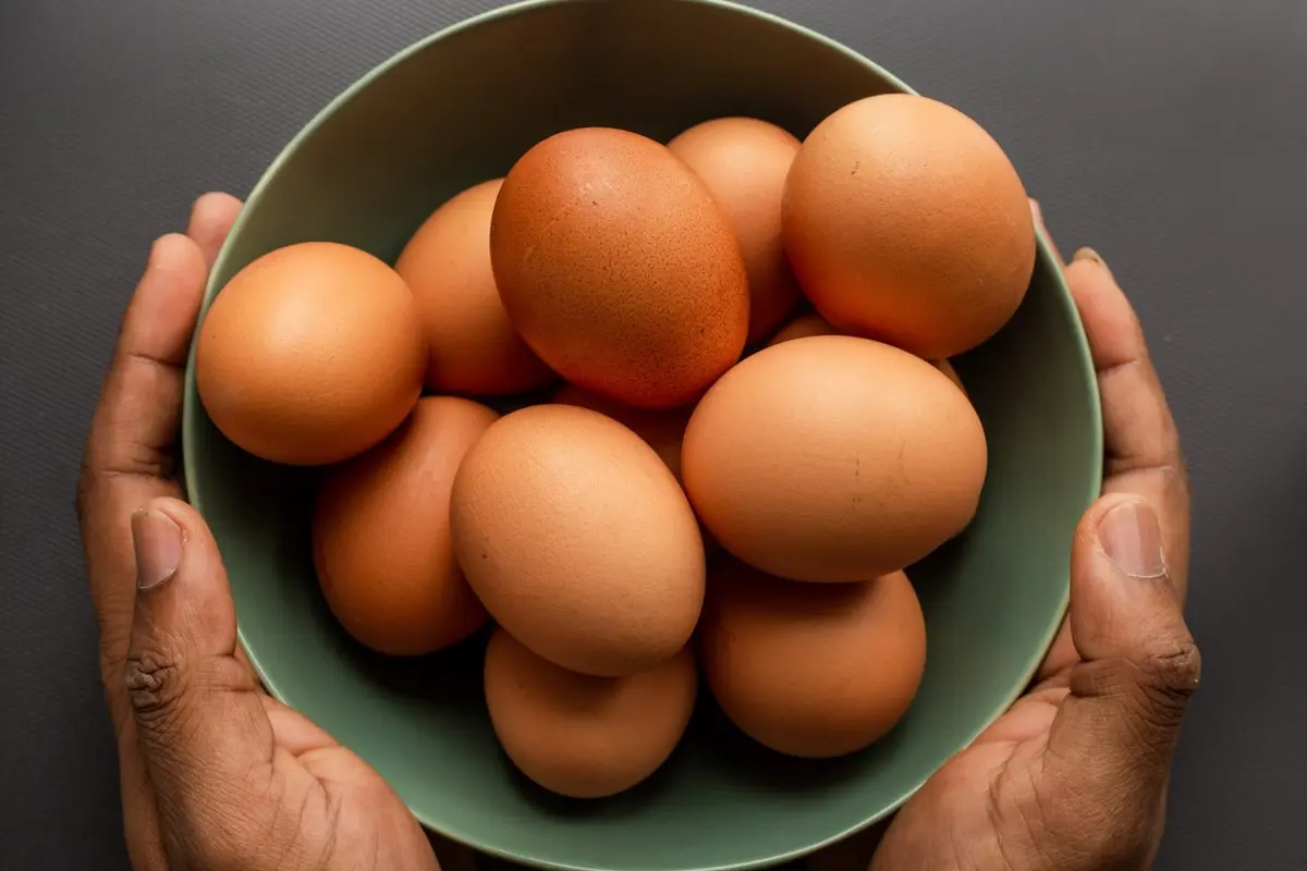 Ilustrasi telur ayam