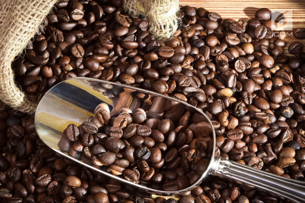 Biji Kopi