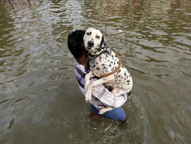 Seorang pria membawa anjing saat banjir di Chennai, di negara bagian selatan Tamil Nadu, India, (3/11/2015). Curah hujan terparah dari satu abad telah menyebabkan banjir besar di seluruh bagian India selatan. (REUTERS/Anindito Mukherjee)