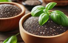 Manfaat Chia Seed dan Selasih, Pilihan Segar untuk Takjil Buka Puasa