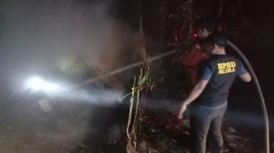 Kebakaran Peternakan Ayam di Blora, 30 Ribu Ekor Terpanggang