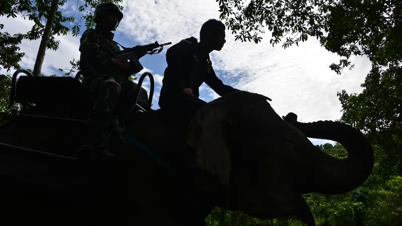 Gajah Jinak Ikut Operasi Gaktib Hutan dan Satwa